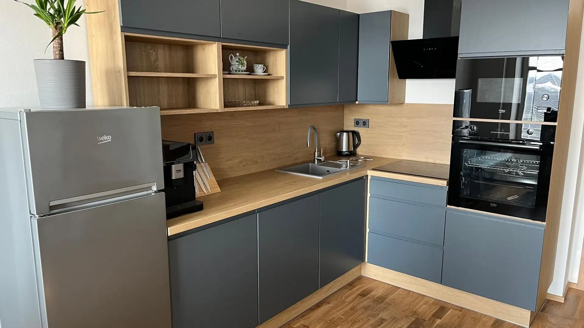 Rezidence U Vankovky Brno Apartment